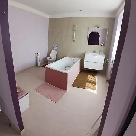 住宿加早餐酒店 L'aurigast Auriac-Lagast